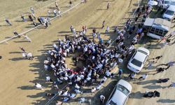 Yarışta çarpışan iki at telef oldu, jokey son anda atlayarak kurtuldu