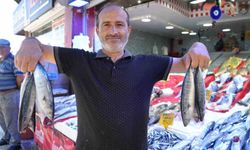 Yıllardır böylesi görülmedi: Karadeniz'den palamut fışkırıyor