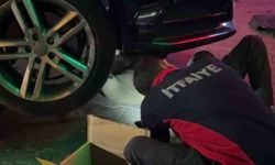 Yunanistan'dan Bolu'ya otomobilin motorunda gelen minik misafir