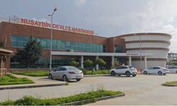 Mardin’de parkta oturan kadının başına mermi isabet etti