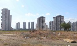 Adana'da cırcır böceği sesleri vatandaşları uyutmuyor