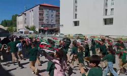Ağrı'da 'Uçurtmalar Vurulmasın, Gökyüzü Çocuklara Kalsın' etkinliği düzenlendi