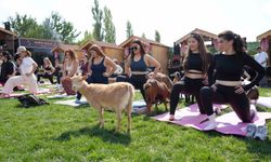Ankara'da spora cüce keçiler de eşlik etti