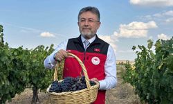 Bakan Yumaklı: '3 milyon 850 bin tonluk bir üzüm üretimi ülkemizde gerçekleşmiş olacak'
