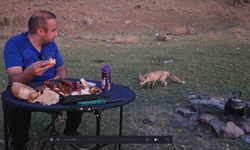 Bitlis'te piknik sofrasına davetsiz misafir