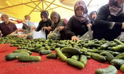Bolu'da kışlık yiyecek telaşı
