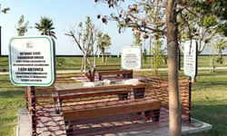 Çevre kirliliğine dikkat çekmek için vatandaşın bıraktığı pislik 'sanat eseri' olarak sergilenmeye başladı