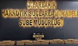 Diyarbakır'da 14 kilo esrar ele geçirildi, 1 kişi tutuklandı