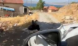 Elazığ'da yaşlı bir adam, zincirle ağaca bağlanmış şekilde görüntülendi