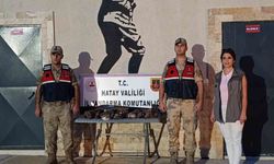 Hatay'da 7 arı şahini avlayan şahsa ceza yağdı