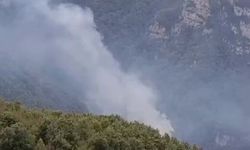 Hatay'da orman yangını: Ekiplerin müdahalesi başladı