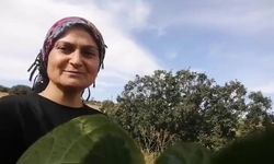 İkramdan memnun kalan tikli bir sonraki gece eşiyle birlikte geldi