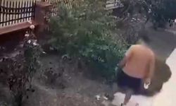 İzmir'de köpeğini gezdiren şahsın yavrulu kediye tekmeli saldırısı kamerada