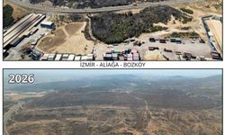 İzmir'de yanan ormanlar yeniden fidanla buluşuyor