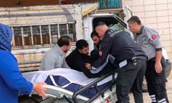 Kamyonetten düşen genç yaralandı