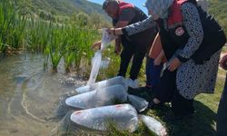 Karabük'teki göletlere 105 bin yavru balık bırakıldı
