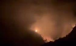 Karaisalı'da ormanlık alanda yangın