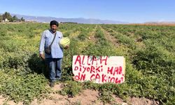 Karpuz hırsızlarıyla başa çıkmak için kibar ikazda bulunan çiftçinin çözümü sonuçsuz kalınca tarlada nöbete başladı