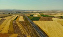 Kars'ta tarım arazileri havadan görüntülendi: Tarlalar halı ve kilim desenlerini aratmadı