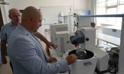 Kastamonu ormanlarında yetişen mantarlar ciltleri güneşten koruyacak
