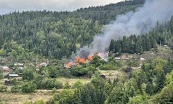 Kastamonu'da 4 ev alevlere teslim oldu