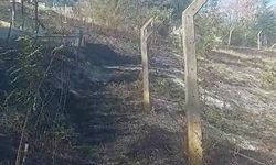 Kastamonu'da otluk alanda çıkan yangın mezarlara zarar verdi