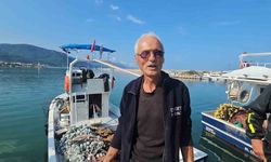 Kastamonu'da palamut bolluğu: Tanesi 75 TL'ye satılıyor