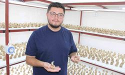 'Kayseri'de yetişmez' denildi, girişimci başardı