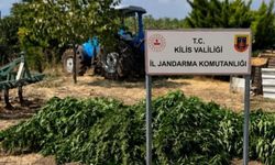 Kilis'te 40 kilo 500 gram kubar esrar ele geçirildi