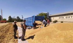 Konya'da TMO'dan 2 milyon tona yakın hububat alımı
