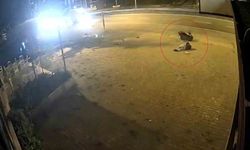 Motosiklet sürücüsü trafik levhasına çarptı