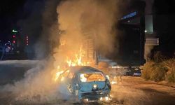 Otomobil ile büyükbaş hayvan yüklü tırın çarpışması sonucu yangın çıktı, 4 hayvan telef oldu