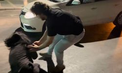 Polise direnen, gazeteciye tüküren alkollü kadın tutuklandı