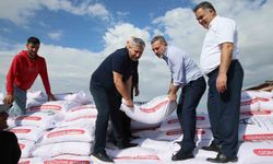 Sincan Belediyesi'nden çiftçilere buğday tohumu desteği