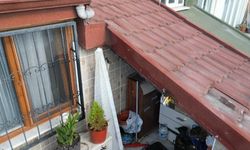 Sultangazi'de çatı katını arılar bastı: Arıların soktuğu kadın hastanelik oldu