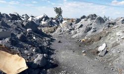 Tekirdağ'da çevre katliamı büyüyor