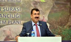 TÜRKYED Genel Başkanı Çelik: 'Son dönemde devletin haksız kazanç, organize suç ve vatandaşın ekonomik düzenini bozan yapılara yönelik operasyonları önemli'