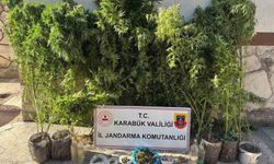 Uyuşturucu ve kaçakçılık operasyonu: 3 kişi gözaltına alındı