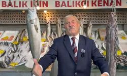 Yasak kalktı balık tezgahları doldu