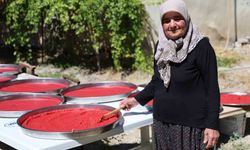 Yazlıkçıların kış hazırlığı: Domates salçası tepsilerde güneşte olgunlaşıyor