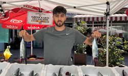 Zonguldak'ta palamut bereketi tezgahları şenlendirdi: 3 tanesi 200 liradan alıcı buluyor