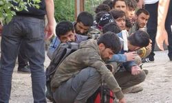 Siirt'te düzensiz göçmen operasyonu: 11 Afganistan uyruklu kişi yakalandı