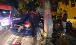 Adana'da ağaca çarpan otomobildeki çocuk öldü, sürücü ağır yaralandı
