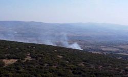 Ankara'da ormanlık alanda çıkan yangın kontrol altına alındı