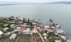 Aşırı yağışlarla birlikte sular altında kalan köy olta balıkçılarının uğrak noktası oldu