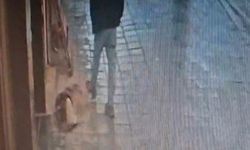 Avcılar'da uyuyan köpek, kendisine tekme atan adamı ısırdı
