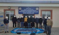 Babaeski'de göçmen kaçakçılığı operasyonu: 3 tutuklama