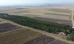 Bakan Kurum'un paylaşımı Benliahmet İstasyonu'nu yeniden gündeme taşıdı