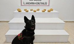 Başkale'de çuvalda 11 kilo 958 gram toz esrar ele geçirildi