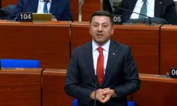 Başkan Arı'dan Strasbourg'da net mesaj: 'Türkiye'nin yerine karar verilemez'
